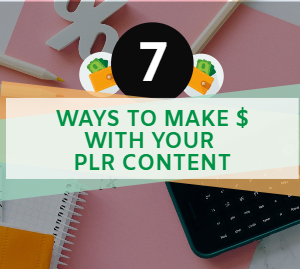 make money with plr