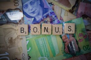 make money with plr