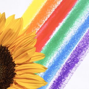 plr coloring pages